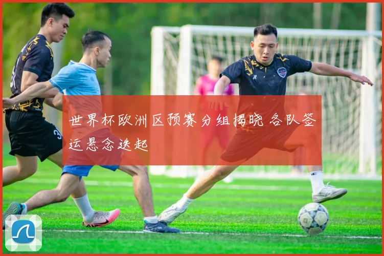 世界杯欧洲区预赛分组揭晓 各队签运悬念迭起