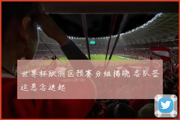 世界杯欧洲区预赛分组揭晓 各队签运悬念迭起