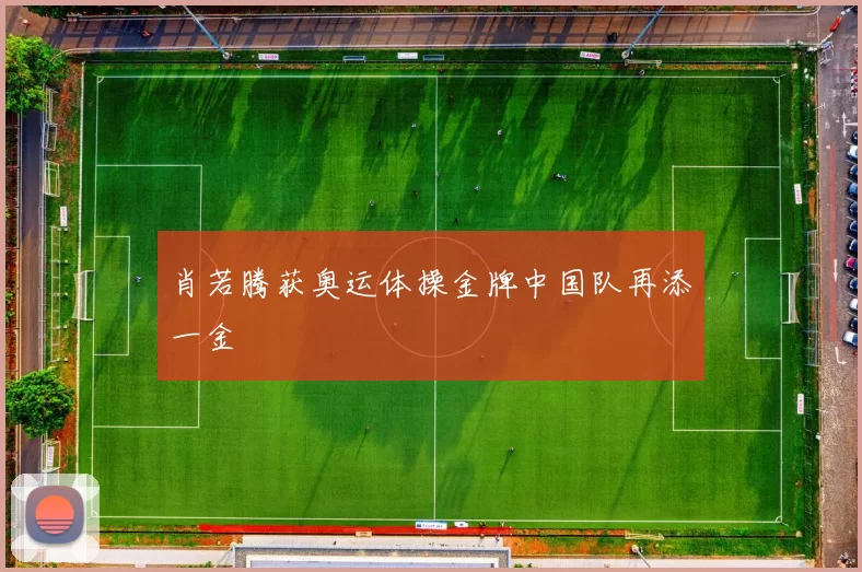 肖若腾获奥运体操金牌中国队再添一金