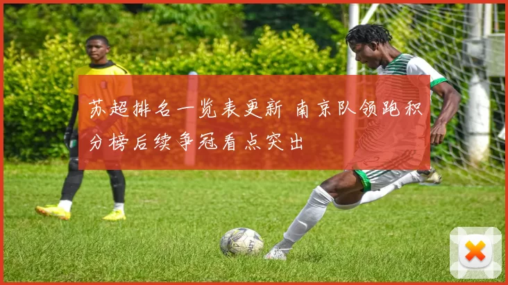 苏超排名一览表更新 南京队领跑积分榜后续争冠看点突出
