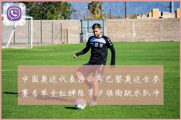 中国奥运代表团公布巴黎奥运会参赛名单全红婵陈芋汐领衔跳水队冲金