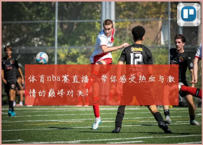 体育nba赛直播,带你感受热血与激情的巅峰对决!